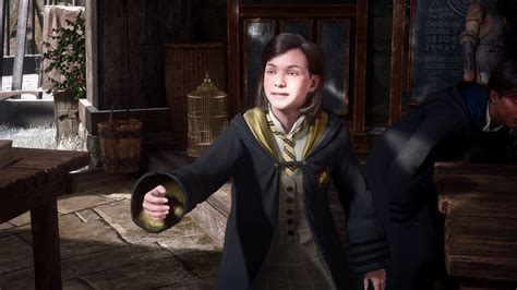 Imagine being able to take them to Hogsmeade Village or having the chance to give them gifts. If you feel like your game is a little too tame and you want to find mods, here are some options you can choose from. 1. Spicy garlic. Mirabel Garlick is one of the professors at Hogwarts Legacy who teaches herbalism.